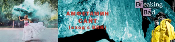 мет Алексин
