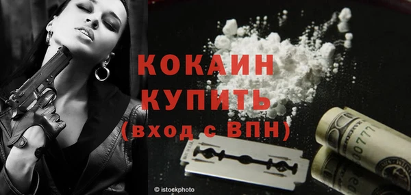 прущий лед Алзамай
