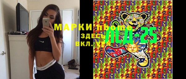 прущий лед Алзамай