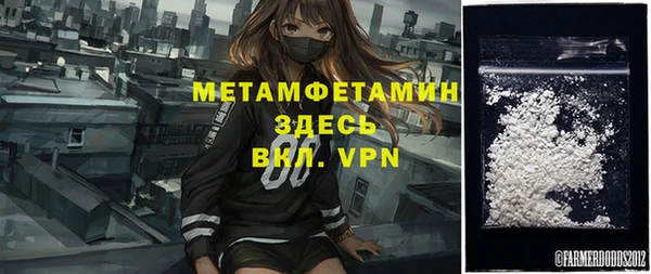 мет Алексин
