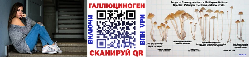 Галлюциногенные грибы Cubensis  Лаишево 
